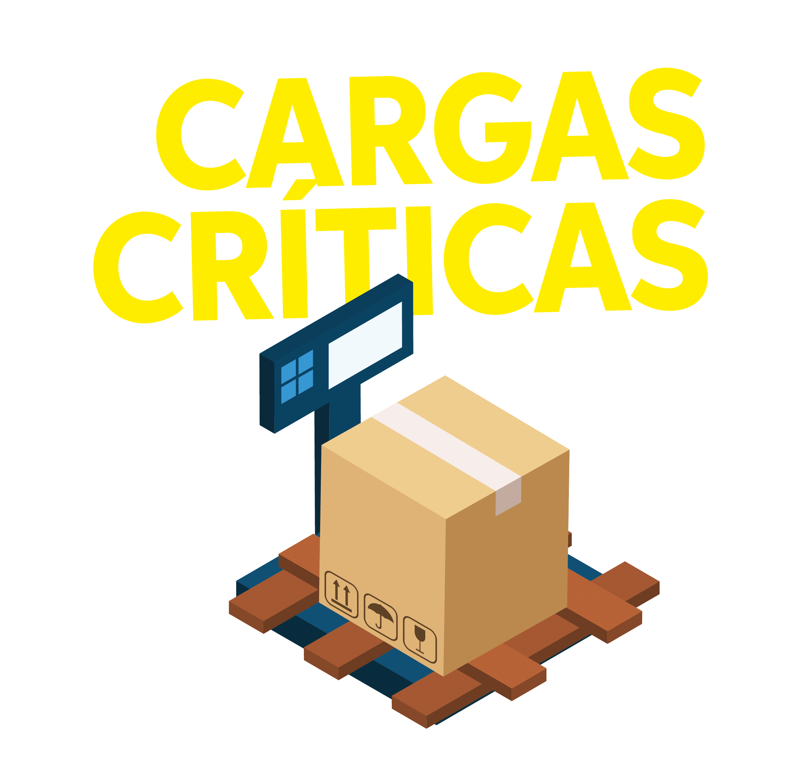 grafica-11